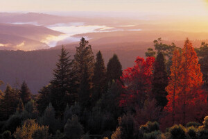 Blue Mountains Road Trip Primary Image Jpg