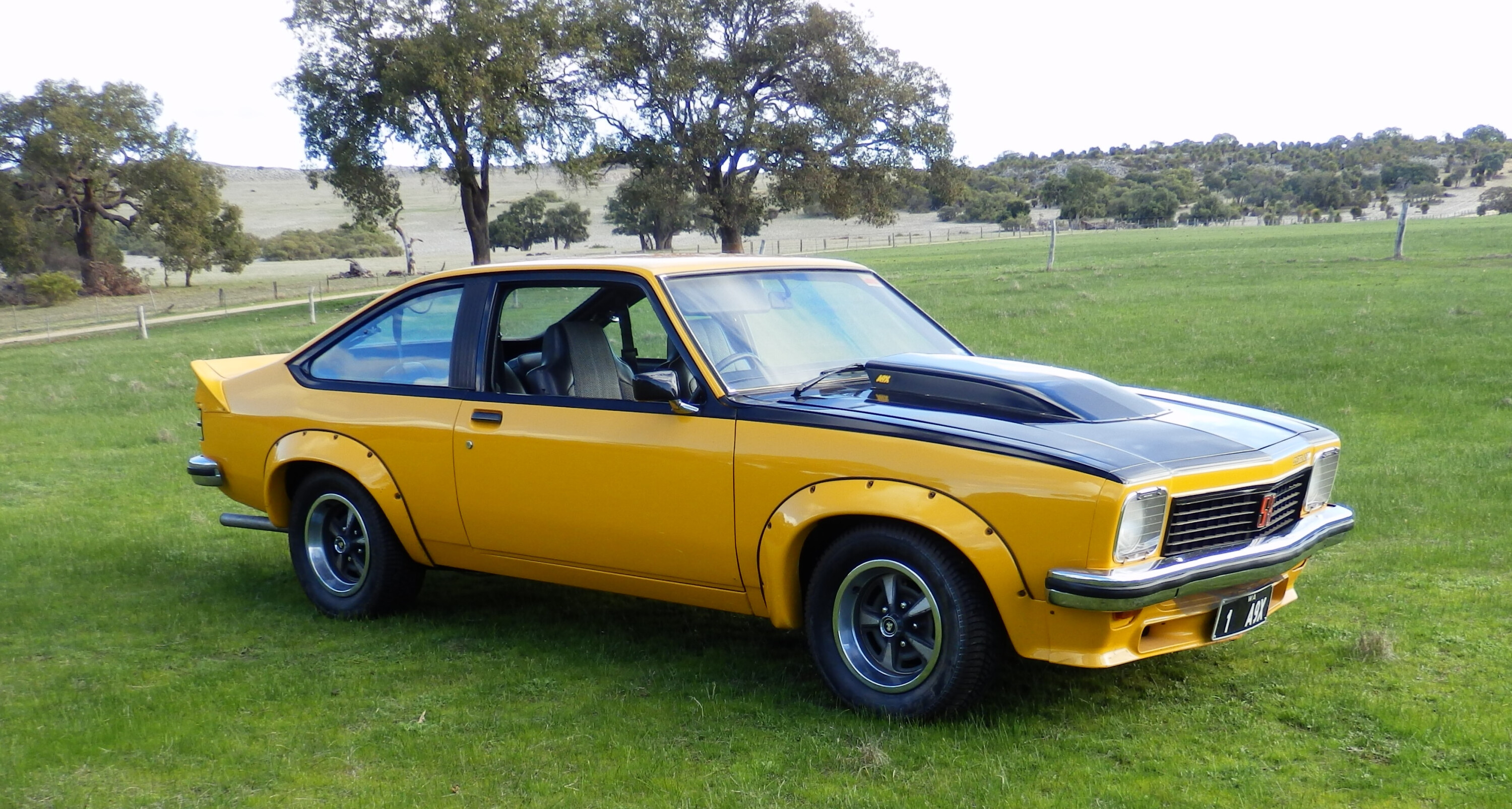 74d60ee1/negus a9x torana 1 JPG